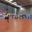 finale coupe VBCQ 2015 2016 489