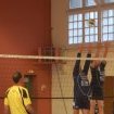 Coupe 2010 AVB/Elliant1