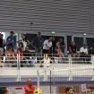 Finale coupe VBCQ 203037