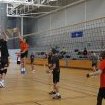 tournoi VBCQ 2017 153500