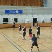 Tournoi du VBCQ 2013