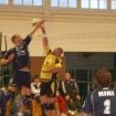 Coupe 2010 AVB/Elliant1