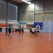 finale coupe VBCQ 2015 2016 510