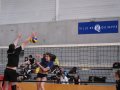 tournoi VBCQ 2017 160851