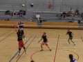tournoi VBCQ 2016 405
